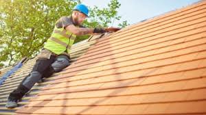 Best Roof Moss and Algae Removal  in Grants, NM